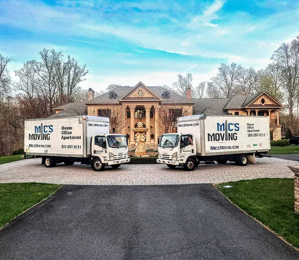 arlington movers you can trust